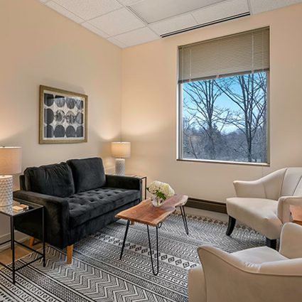 Naperville-image