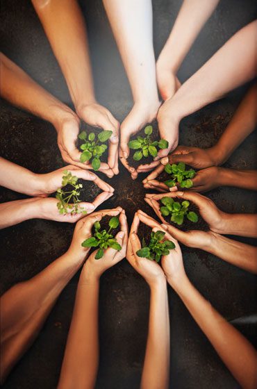 RejuveNate – Plants & Wellness