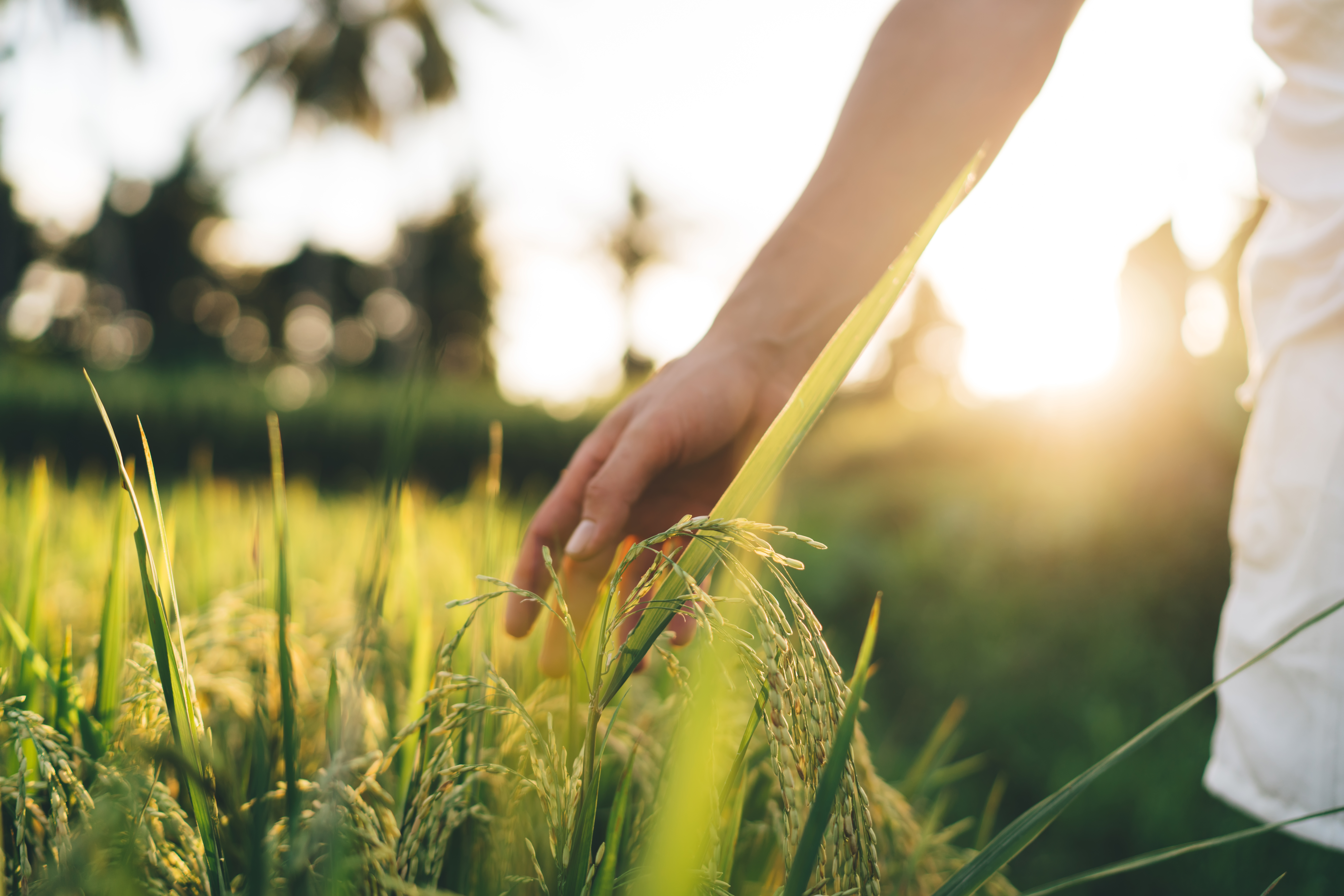 What Does it Mean to be a “Highly Sensitive Person”?