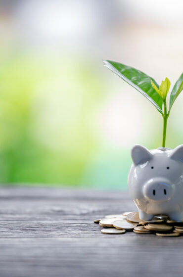 401(k) vs. IRA for Therapists: What’s the Difference and Why It Matters for Your Future